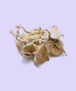 Potent Dried Amazonian Mushroom stands as one of the most iconic strains of Psilocybe cubensis.