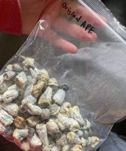 Albino Penis Envy Magic Mushrooms