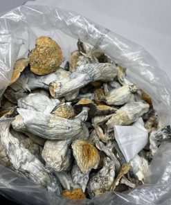 Blue Meanie Magic Mushrooms | Potent Psilocybin