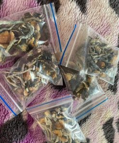 Creeper Magic Mushrooms | potent psilocybin