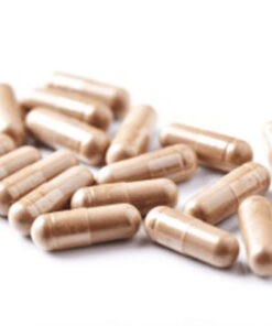 Buy Mushroom Capsules