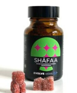Buy Mushroom Edibles