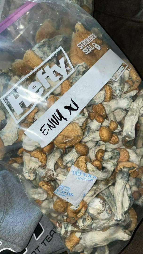 Penis Envy 6 Magic Mushrooms - Potent Psilocybe Cubensis Strain