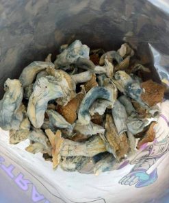 Golden Teacher Special Magic Mushrooms - Buy Dried Mushrooms