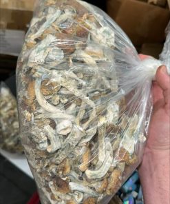 Brazilian Magic Mushrooms - Psilocybin Strain from South America