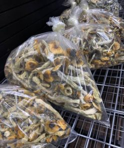 Texas Yellow Cap Magic Mushrooms -Premium Psilocybe Cubensis