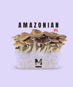 Buy Magic Mushroom Grow Kit – PES Amazonian Grow Kit by Mondo