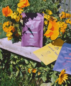 Temple Teleport Sample Pack: Magic Mushroom Tea & Choco Mix